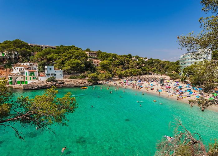 Cala Santanyi Visit Cala Santany: 2024 Travel Guide for Cala Santany, Santanyi ... photo