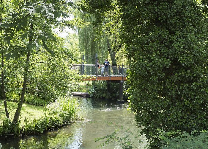 Teufelsbrücke Canoe tour through the Spreewald UNESCO Biosphere Reserve ... photo