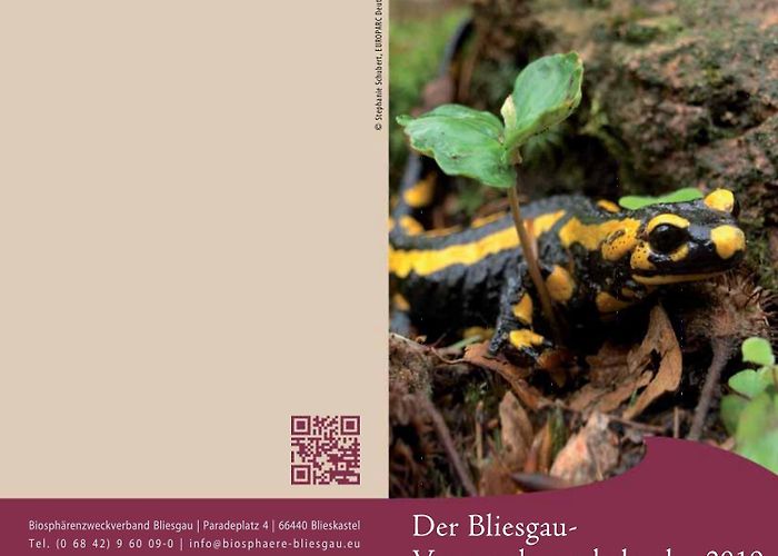 Katharinenhof Bliesgau-Veranstaltungskalender 2019 by Biosphärenreservat ... photo