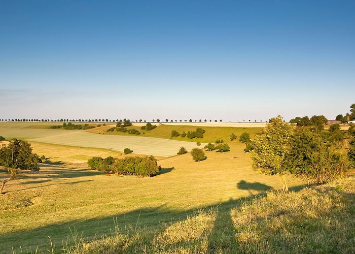Katharinenhof The Top Road Bike Rides in Mandelbachtal | Outdooractive photo