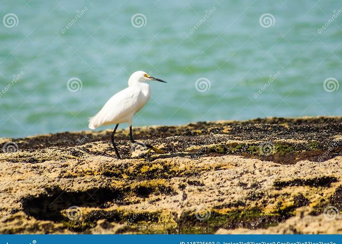 Virtudes Beach  Espashy Stock Photos - Free & Royalty-Free Stock Photos from ... photo