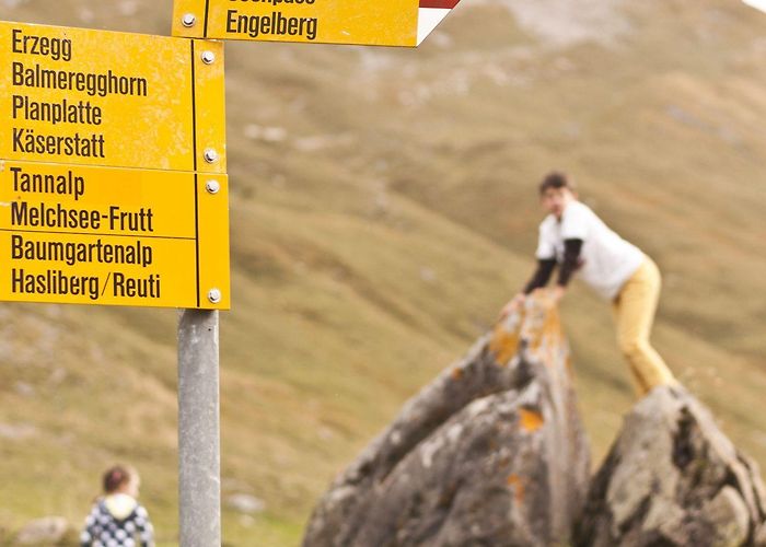 Balmeregghorn Engstlenalp | Moxiblog photo