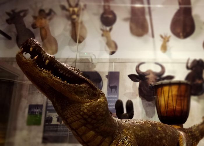 Museo de la Biodiversidad Museo de la Biodiversidad – Museo de la Biodiversidad de Ibi ... photo