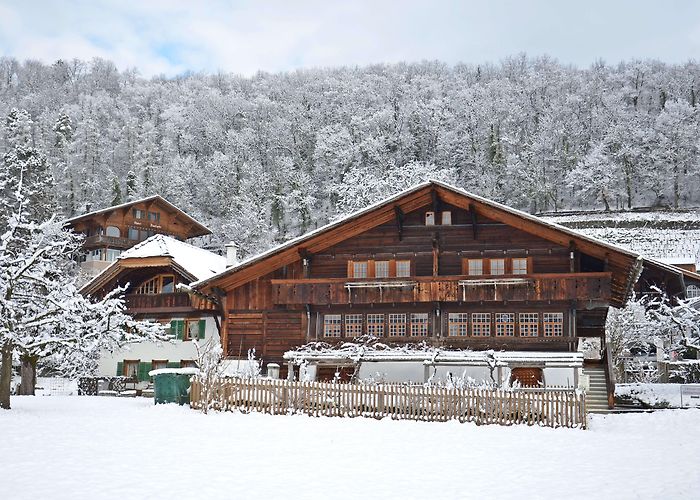 Heimat- u. Rebbaumuseum Museum of Local History and Viticulture photo