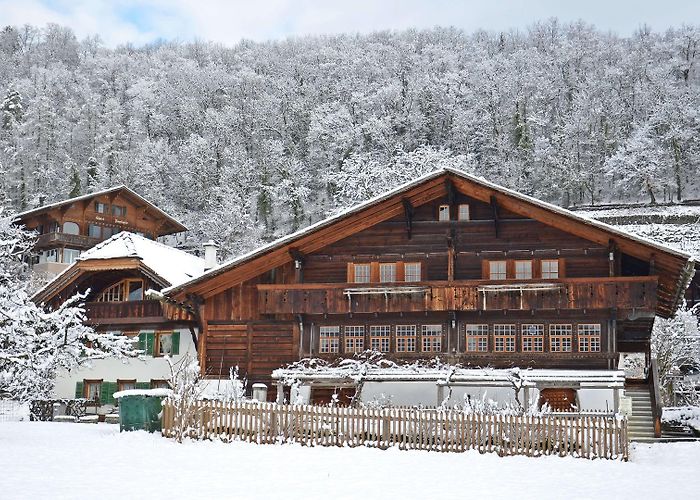 Heimat- u. Rebbaumuseum Museum of Local History and Viticulture photo