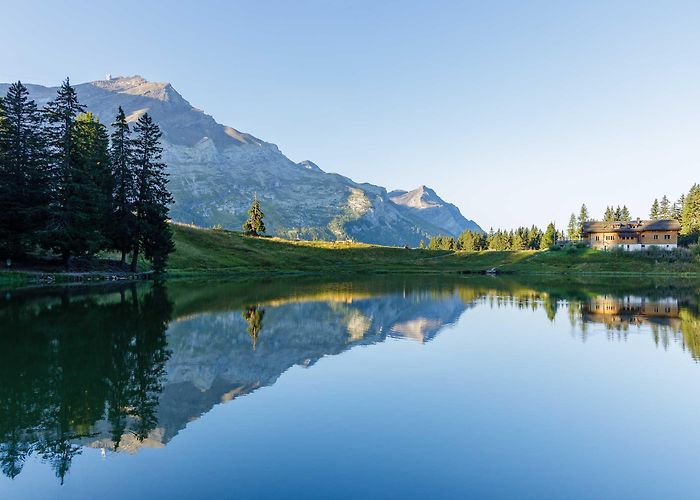 Palette Switzerland Explored photo