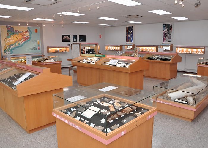 Museo de Geologia Museo de Geología “Valentí Masachs” – Geoparc Mundial UNESCO de la ... photo