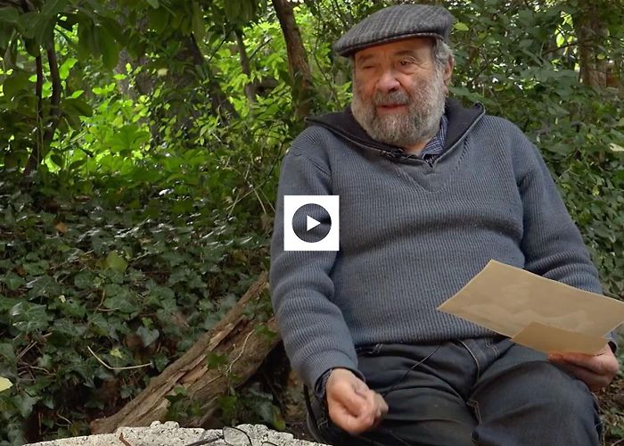 Museo de Baltasar Lobo Museo Baltasar Lobo photo