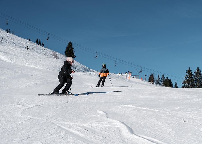Pointe de L'Au Champoussin — SnowPros Ski School photo