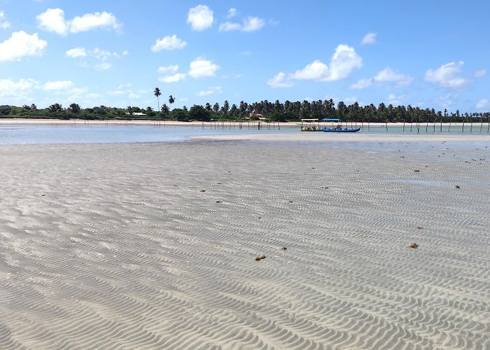 Onça Beach Brazil - Travel & Immigration photo