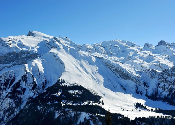 Laubersgrat Freeride Engelberg, Laub | get your local Guide photo