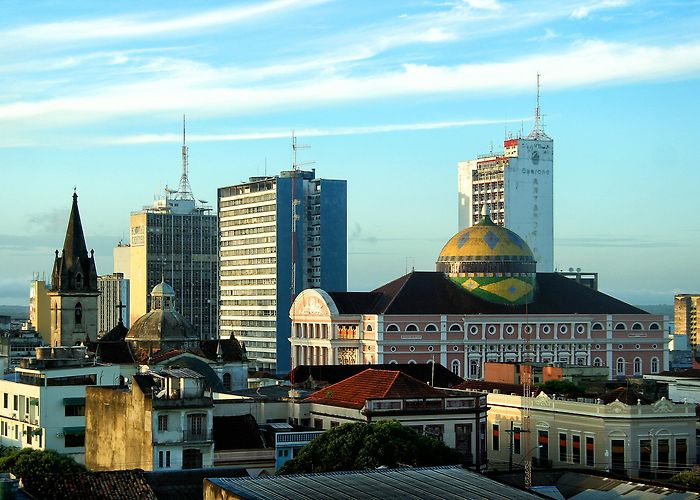 Customs So, You Cleaned Your Apartment. Get Ready For A Fungi Boom : Goats ... photo