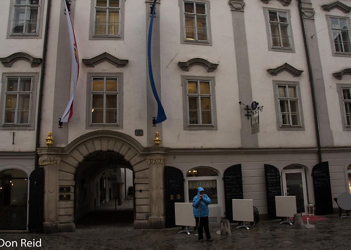 Mozarthaus Linz | Mostly Birding photo