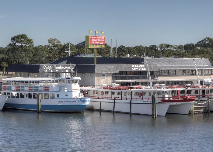 Captain Anderson's Marina Capt. Anderson's Marina - Fishing Charters - Panama City, FL photo