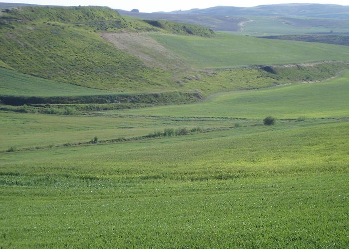 Monastery of San Juan de Ortega Hotels in Tosantos: best places to stay in 2024 |Hotels.com photo