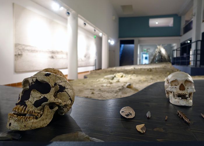 Musee Terra Amata Musée de Préhistoire de Terra Amata | Heritage Nice Tourism Office photo