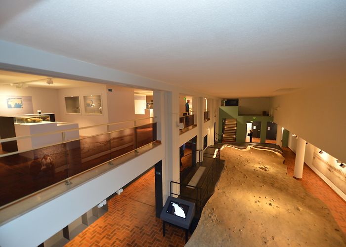 Musee Terra Amata Musée de Préhistoire de Terra Amata (Nice) | Provence-Alpes-Côte d ... photo