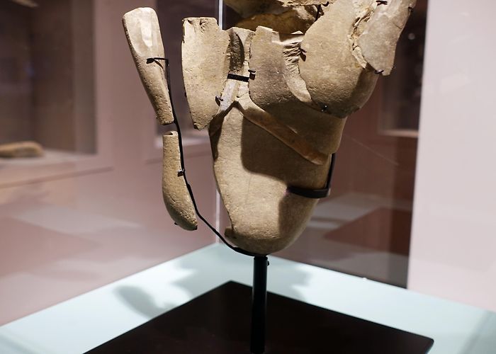 Musee Terra Amata Musée de Préhistoire de Terra Amata | Heritage Nice Tourism Office photo