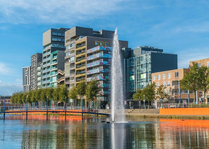 Art Gallery Action Art IJzerman Things to Do in Lelystad in 2024 | Expedia photo