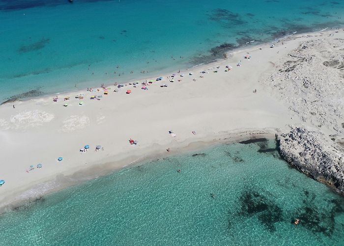 El Tiburon Beach Club Luxury Villas in Formentera ▸ Sales & Rentals in Formentera ... photo