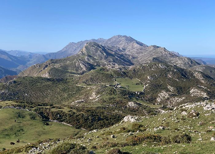 Desfiladero de la Hermida Top 10 Hikes and Walks in Desfiladero De La Hermida | Komoot photo