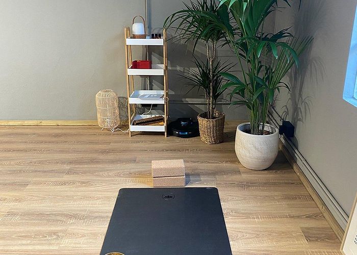 Fundacio Josep Pla Calma Ioga - All You Need to Know BEFORE You Go (with Photos) photo