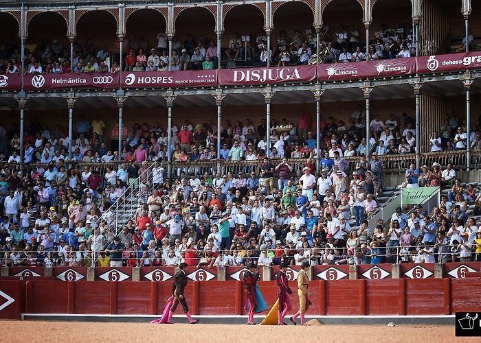Plaza de toros La Glorieta Plaza de Toros de Salamanca: historia, planos - Chopera Toros photo