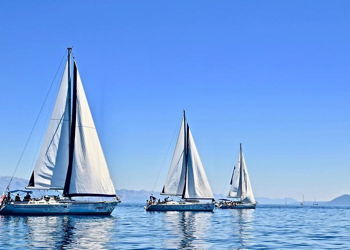 Puerto Deportivo Radazul Alboran Charter - Puerto Deportivo Radazul photo