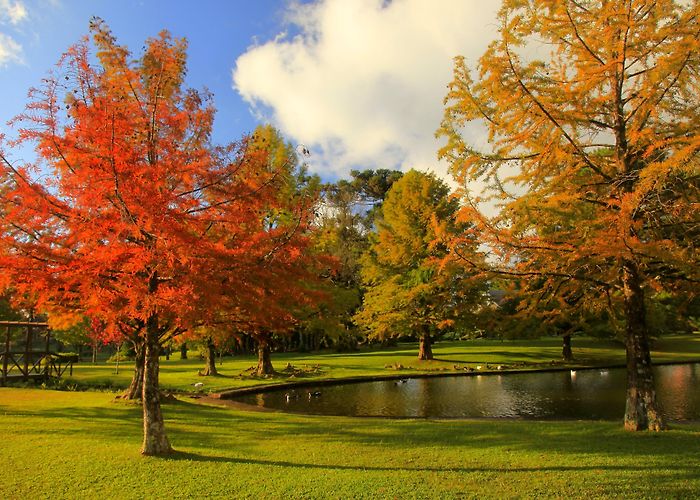 PUCRS University Stadium Visit Petropolis: 2024 Petropolis, Porto Alegre Travel Guide | Expedia photo