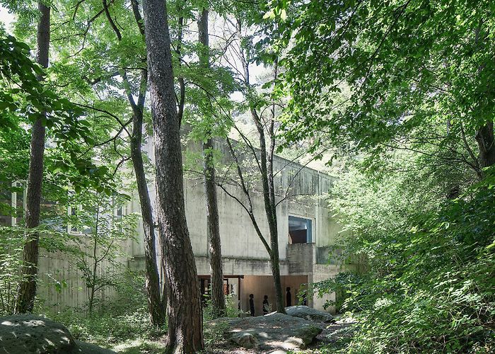 Musee De La Prehistoire D Ile De France Roland Simounet, Francesco Luciani · Musée de Préhistoire d'Île-de ... photo