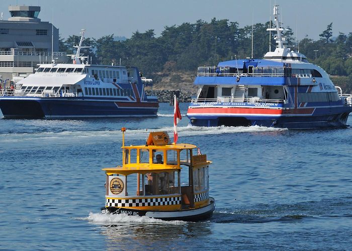 Victoria Harbour Ferry Victoria Harbour Ferry offering pair of holiday specials - Saanich ... photo