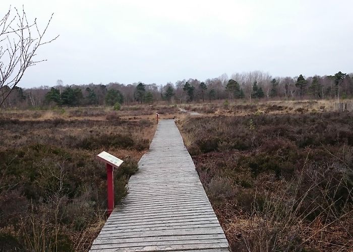 Peatlands Park Peatlands Park | National parks, Park, Scenic photo