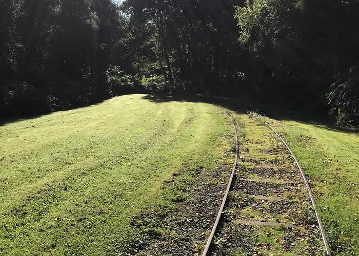 Peatlands Park A train to nowhere. Peatlands Park, Northern Ireland. : r/pics photo