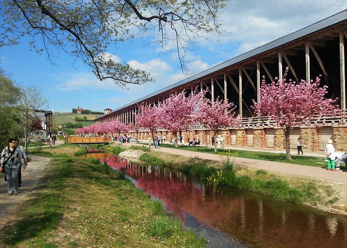 Kurpark Der Kurpark in Bad Dürkheim | Pfalz.de photo
