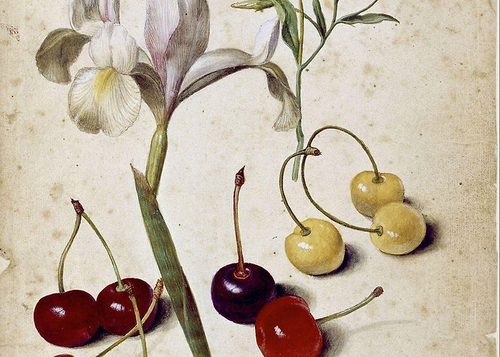 Museum of Prints and Drawings Kupferstichkabinett Museum of Prints and Drawings (Berlin) - Visitor Information & Reviews photo