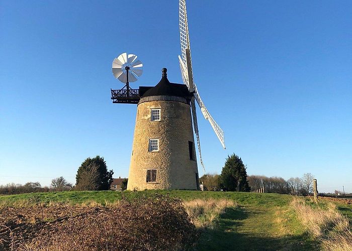 St Tiggywinkles Wildlife Centre Great Haseley Windmill - All You Need to Know BEFORE You Go ... photo