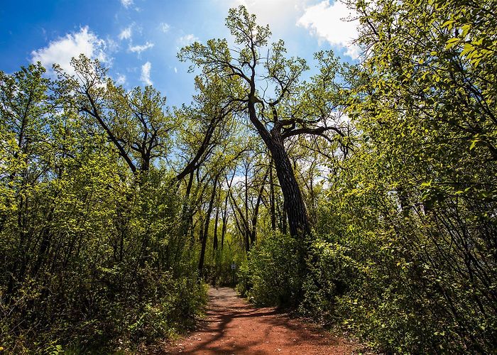 Pavan Park Pavan Park in Lethbridge, Alberta photo