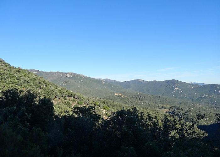 Castell de Requesens Visit Cantallops: 2024 Travel Guide for Cantallops, Catalonia ... photo