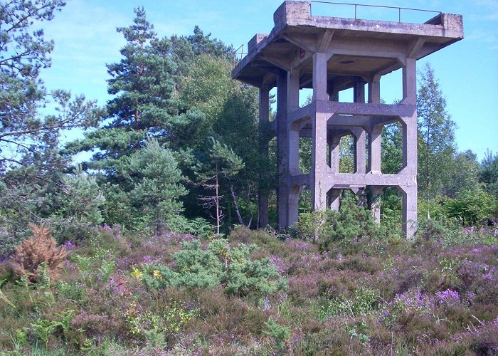 Holton Heath Sandford Heath - Dorset Council photo