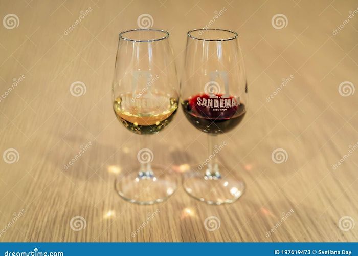 Porto Sandeman Two Glasses of Ruby and White Port Wine for Tasting at Sandeman ... photo