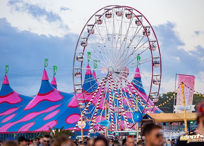 D'n Donk INTENTS FESTIVAL - ALL YOU NEED TO KNOW - Hardstyle Mag photo