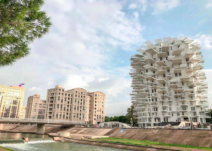 Bassin Jacques Coeur French guided tour "Architectures le long du Lez" photo