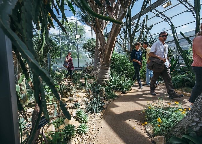 Botanic Gardens Oxford The Arid House | Oxford Botanic Garden and Arboretum photo