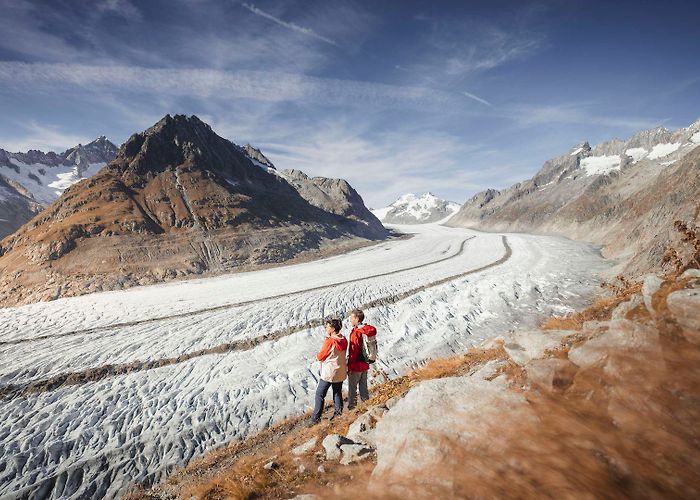 Aletsch Glacier Great Aletsch Glacier - Aletsch Arena photo