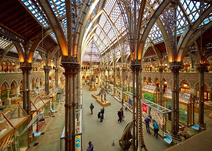 Museum of the History of Science Venue Hire | Oxford University Museum of Natural History photo