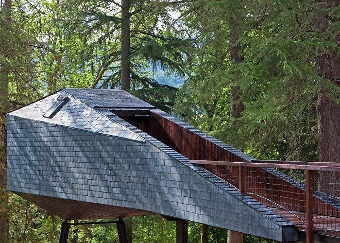 Pedras Salgadas Thermal Spa The Height of Treehouse Luxury photo