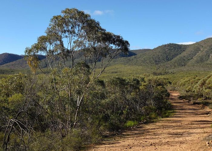 Longhill Game Reserve Alligator Gorge: An Overnight Hike in SA - We Are Explorers photo