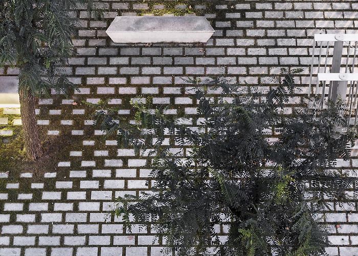 Pasqual Maragall Foundation miba, Adrià Goula · Pasqual Maragall Foundation Plaza · Divisare photo