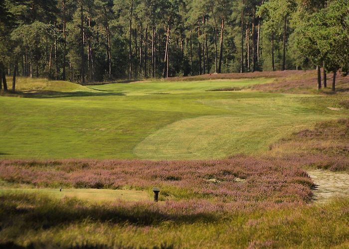 Sherwood Forest Golf Club Sherwood Forest Golf Club • Tee times and Reviews | Leading Courses photo
