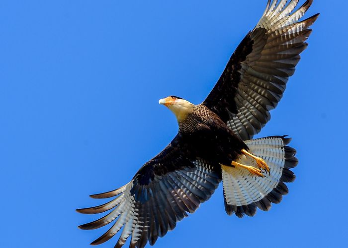 Lua de Prata Lagoon Espírito Santo Vacation Rentals, Brazil: house rentals & more | Vrbo photo